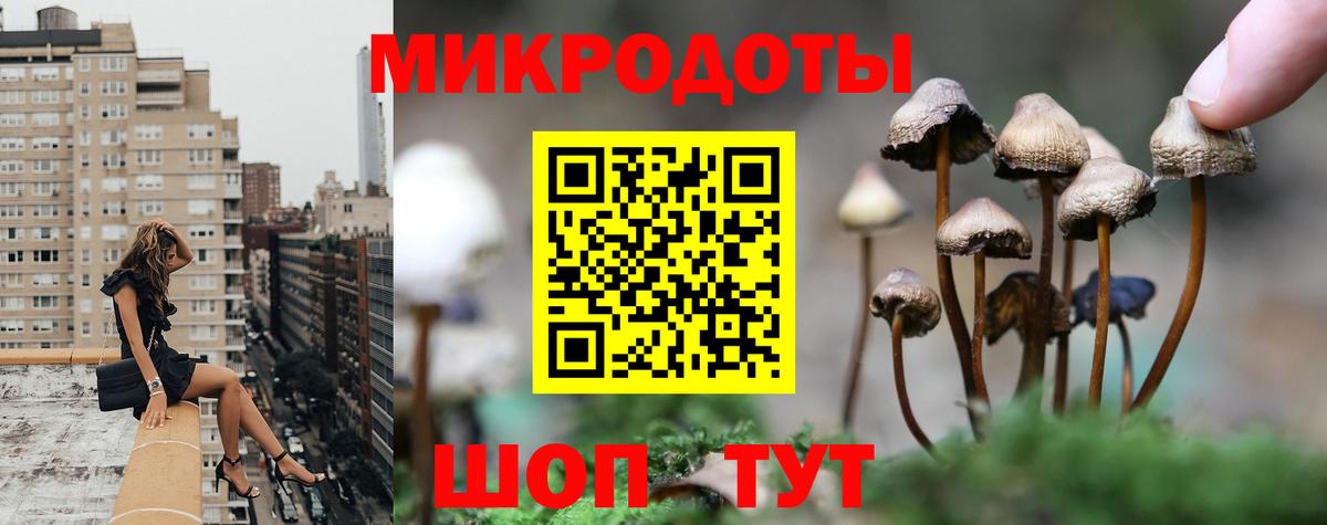 Карталы  Псилоцибиновые грибы Psilocybine cubensis  Вход с VPN  Галлюциногенные грибы ЛСД 